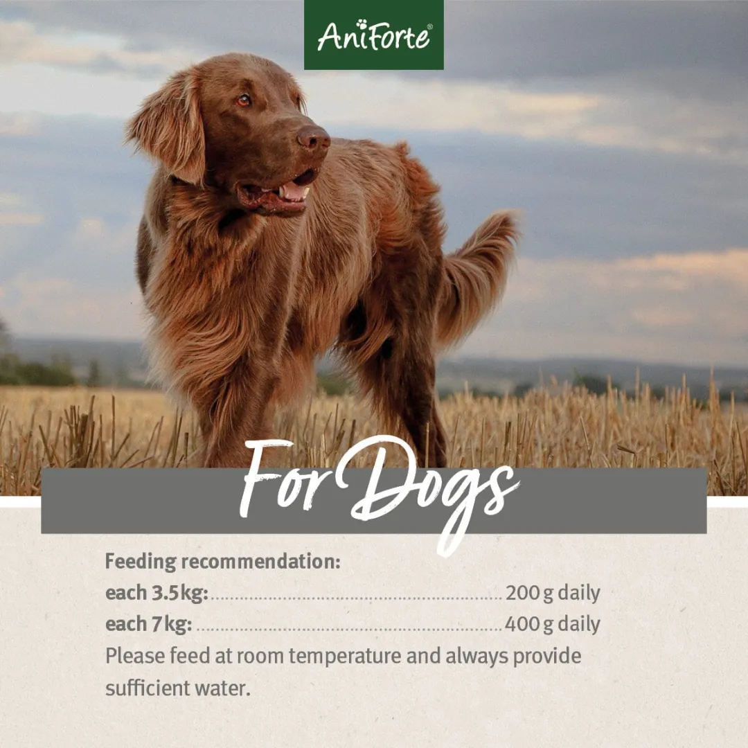 AniForte PureNature Turkey Wet Food