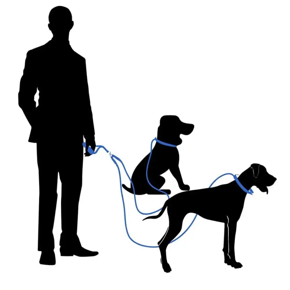 Durable no Tangle Coupler Comfortable Padded Handle Double Pet Leash for Small, Medium, and Large Dogs