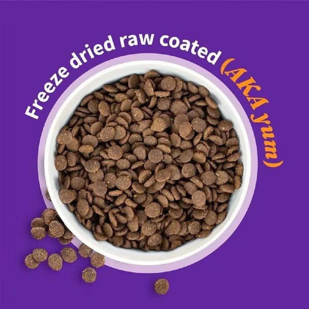 elevate Grain Free Freeze-Dried Raw Coated Adult Red Meat & Sweet Potato Recipe Dog Dry Food