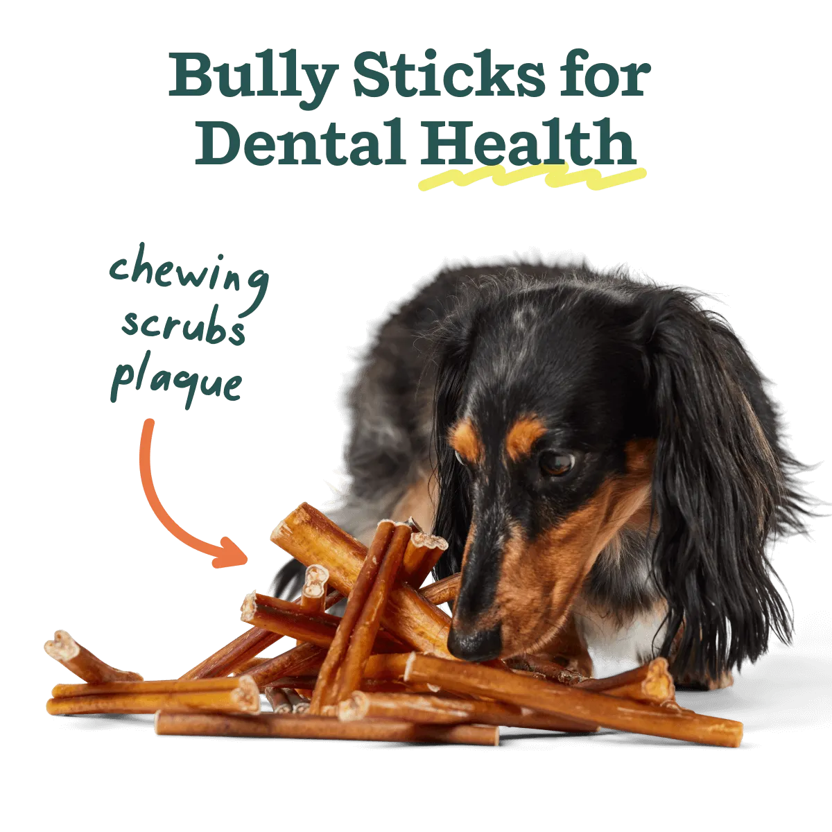 The BullySafe Better Pack