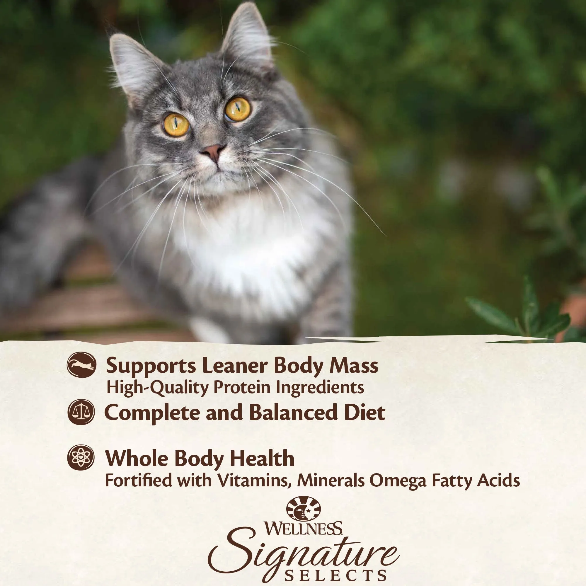 Wellness CORE Signature Selects Poultry Selection Variety Pack Wet Cat Food 79g x 8^^^